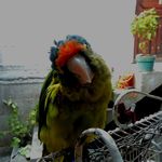 Elízabeth M. - @eli_morsel_24 - Instagram