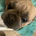 Eli Morse - Facebook