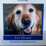 Eli Morse - @happinessambassadog - Instagram