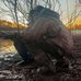 Eli Morton - Facebook