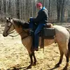 Eli Morton - @elimorton38 - TikTok