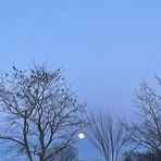 Eli Moser - Facebook