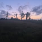 Eli Mulligan - Facebook