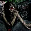 eli.murad - @eli.murad - TikTok