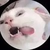 elin eriksson - @elineriikssons - TikTok