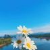 Eli Nguyễn - Facebook