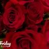 eli_noor💋 - @eli_noor - TikTok