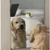 Eli Paez - @eli.paez49 - TikTok