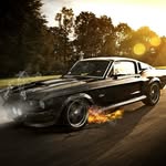 Eli Peterson - @eli.peterson.758 - Instagram