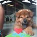 Elik Phillips - Facebook