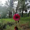 Eli Pimentel - @eli.pimentel1 - TikTok