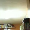 Eli Pollak - @eli.pollak27 - TikTok