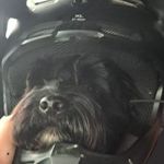 Eli - @eli.pope_ - Instagram