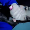 eli_quintana - @eli._idlk - TikTok