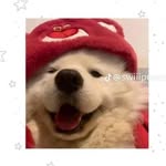 eli❣️ - @eli_rixi - Instagram
