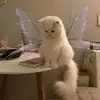 elirix - @elirx.x - TikTok