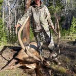 Eli Scheer - Facebook