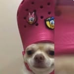 Eli schulze - @schulze.eli - Instagram