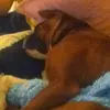 ely shockley - @ely.shockley - TikTok