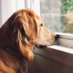 Eli short for Elijah - @eli.adventures - Instagram