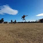 Eli Shulman - @eli_shulman1 - Instagram