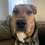 Elijah Shuman - Facebook