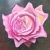 Eli Silva - Facebook