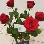 Sonia Chevey - @eli.simpson.79 - Instagram