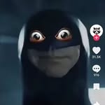 Eli Simpson - @dabeanmonkyt - Instagram