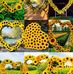 Eli Sisco Vida - Facebook