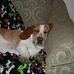 Elisa Skop - Facebook