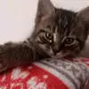 uwuproncesspoop1 - @eliskopsq - TikTok