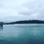 Eli Sneed - @eli_sneed_33_ - Instagram