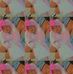 Eli Solano - Facebook