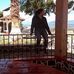 Eli Solano - Facebook