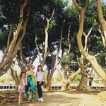Eli Sotelo - @liza10sotelo - Instagram
