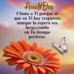 Eli Soto - Facebook