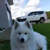 Eli Spencer - @eli.spencer8 - TikTok