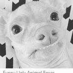 Eli Spiegel - @elispiegel - Instagram