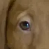 Elia Sprague - @elia.sprague - TikTok