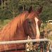 Eli Squires - Facebook