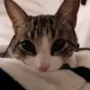 Elizabeth Stappung G - @elizabethstappung - TikTok