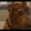 Eli Steele - @eli.steele63 - TikTok