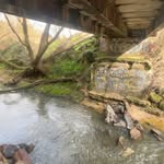 Eli Steenhuis - @steenhuiseli - Instagram