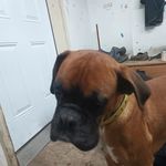 Eli steinberger - @elisteinberger - Instagram