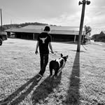 Eli Steiner - @eli_steiner50 - Instagram