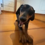 Eli - @elistinson_ - Instagram