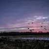 Eli Storey - @eli.storey - TikTok