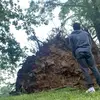 Eli Storey - @storey..time - TikTok