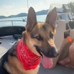 Eli Stout - @germanelitheshedder - Instagram